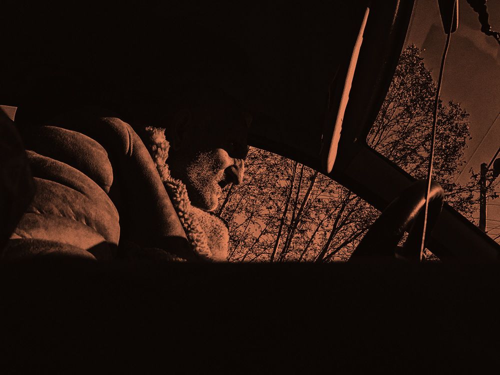 Фотография автора Григор Ходжаян