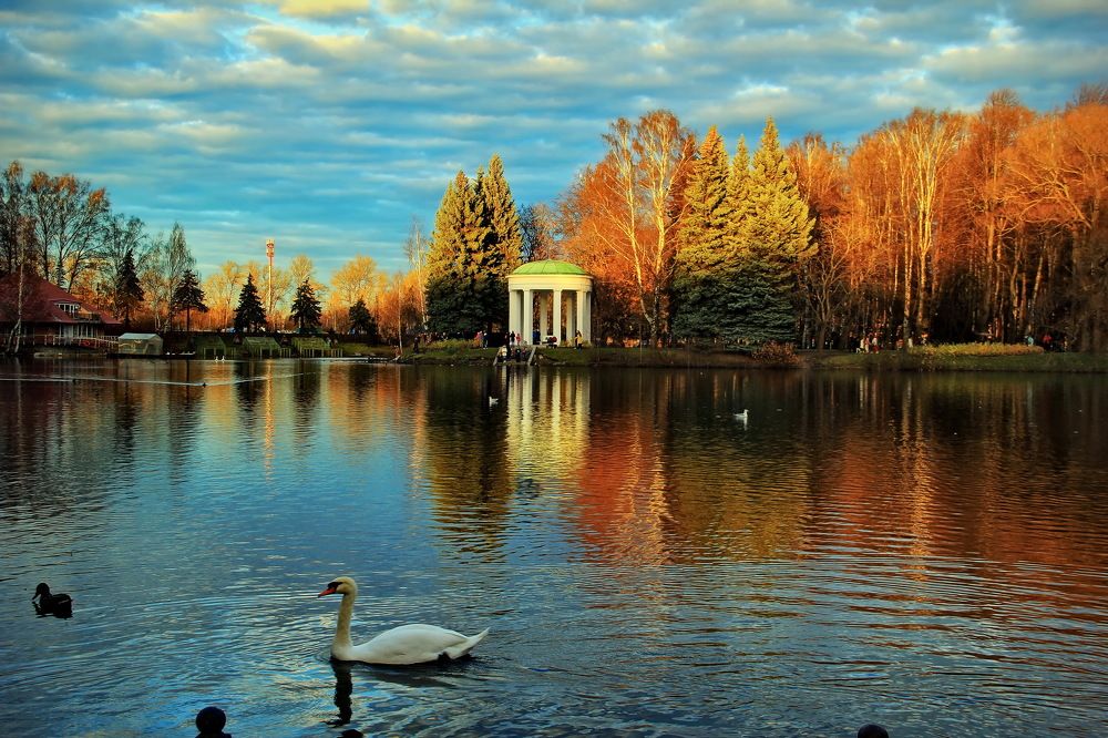 Photograph by Stas Staroverov