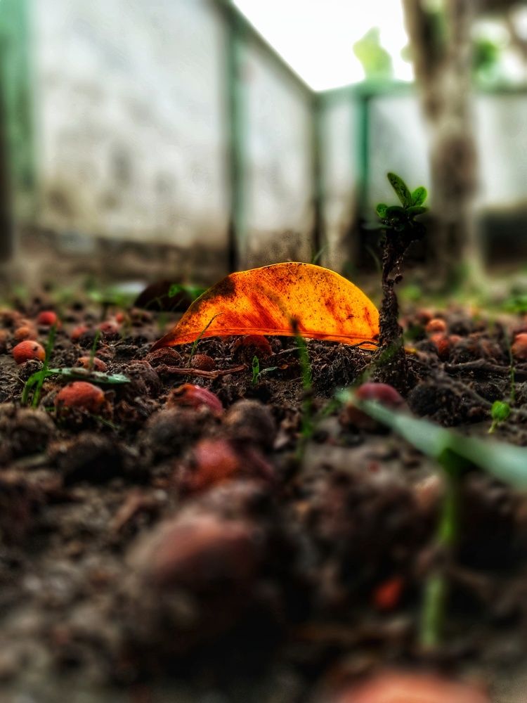 Photograph by Saria Tasnin Aboni