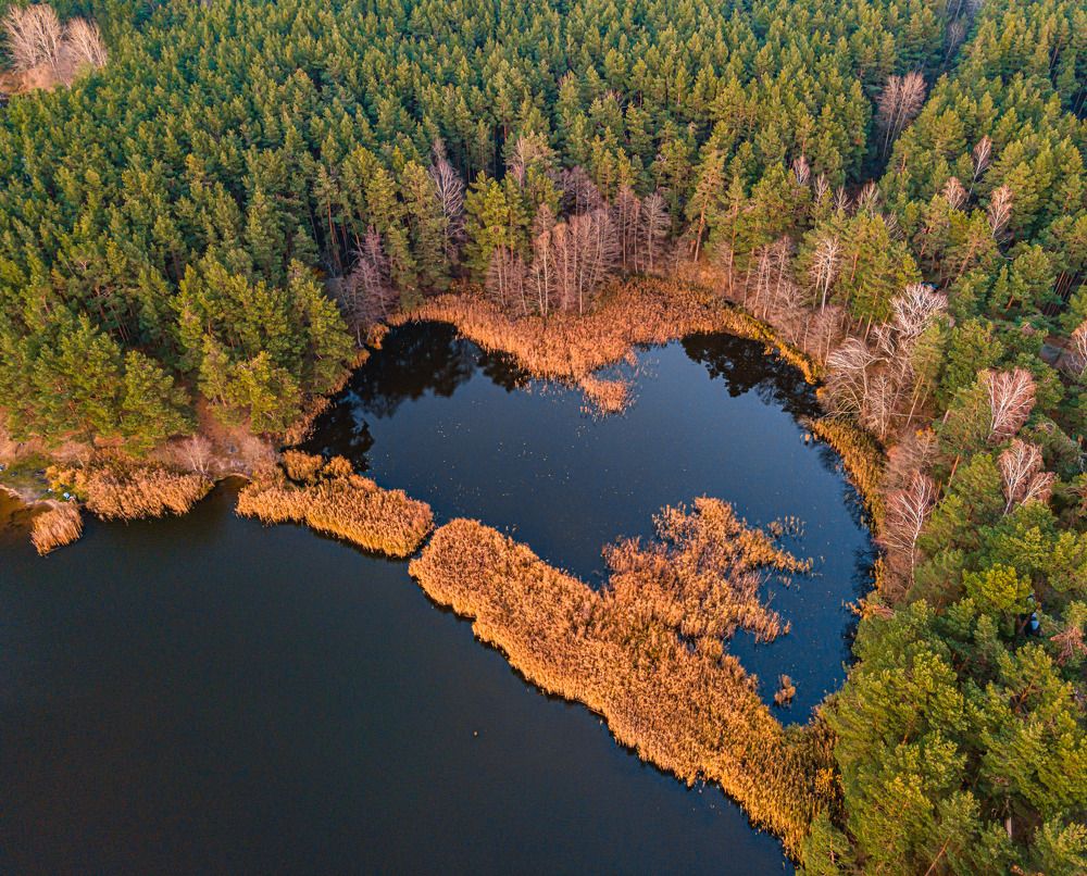 Photograph by Елена Зейликович