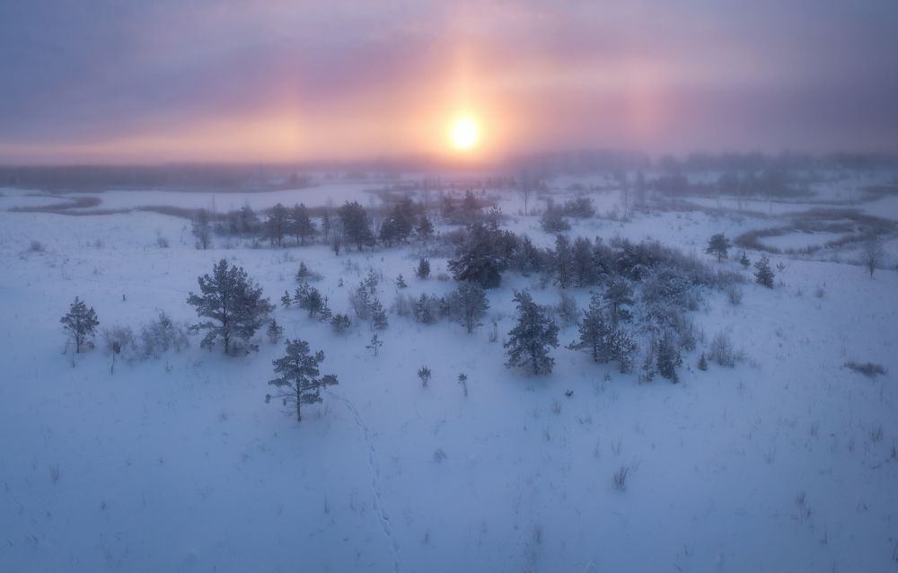 Photograph by Roman Dmitriev