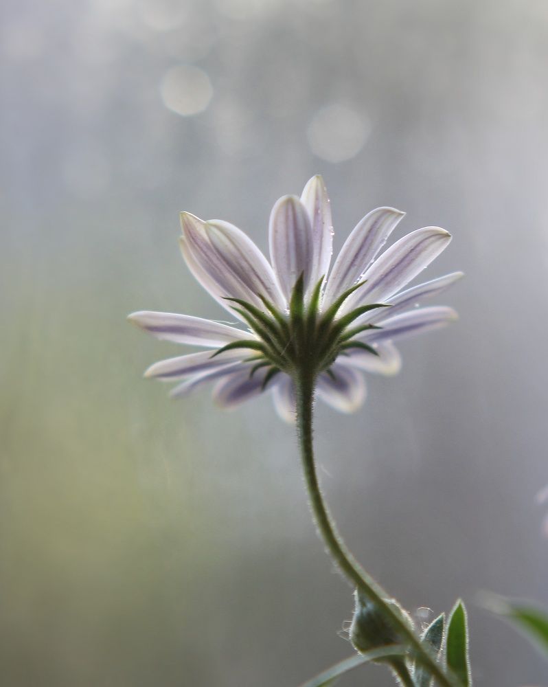 Photograph by Abolfazl Shahmiry