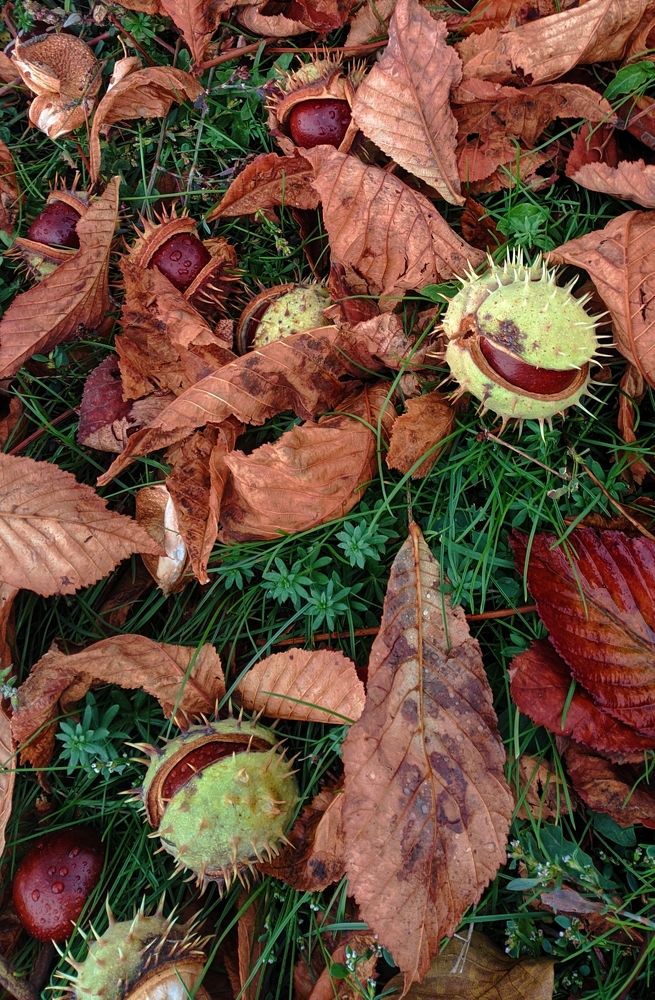 Photograph by Юлия Кононова