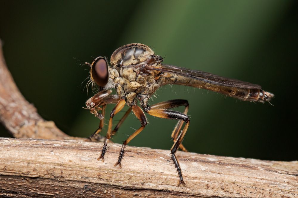Photograph by MARÍA CECILIA REY