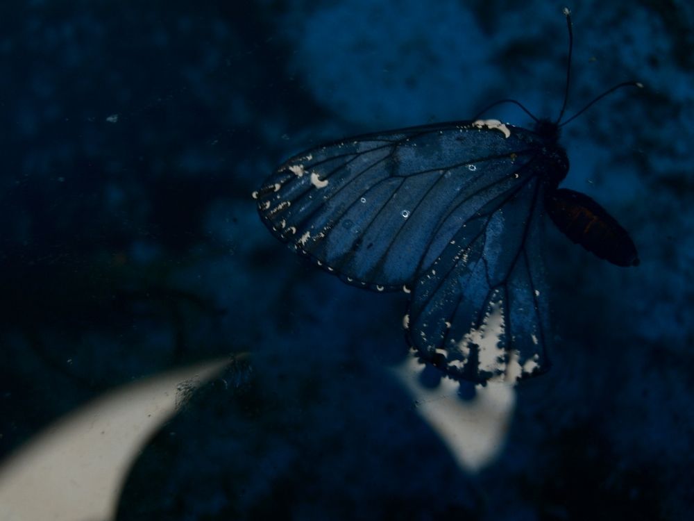 Photograph by Аркадий Воробьев