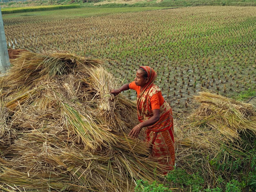 Photograph by Saria Tasnin Aboni