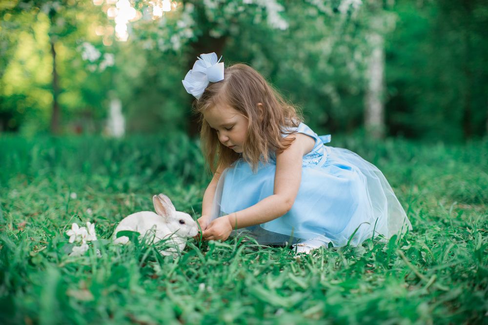 Фотография автора Василиса Новикова