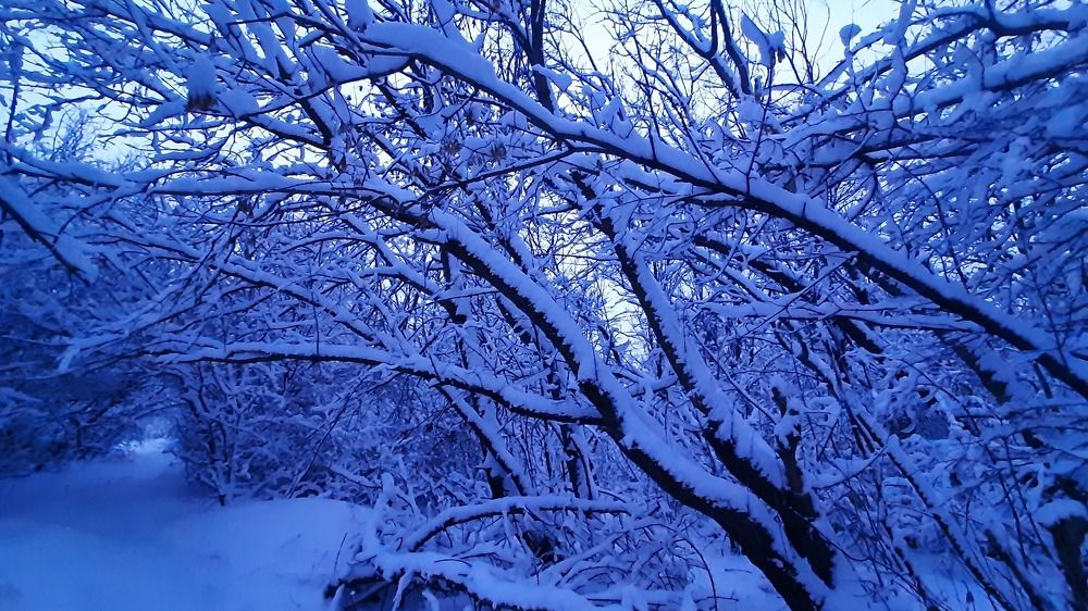 Photograph by ИГОРЬ