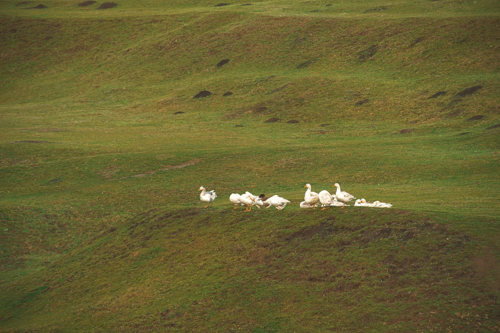 Photograph by Maxim Cristalov