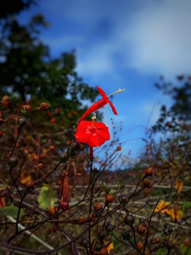 Фотография автора Venkatesh Rao