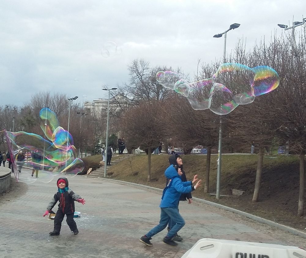 Photo #7345719