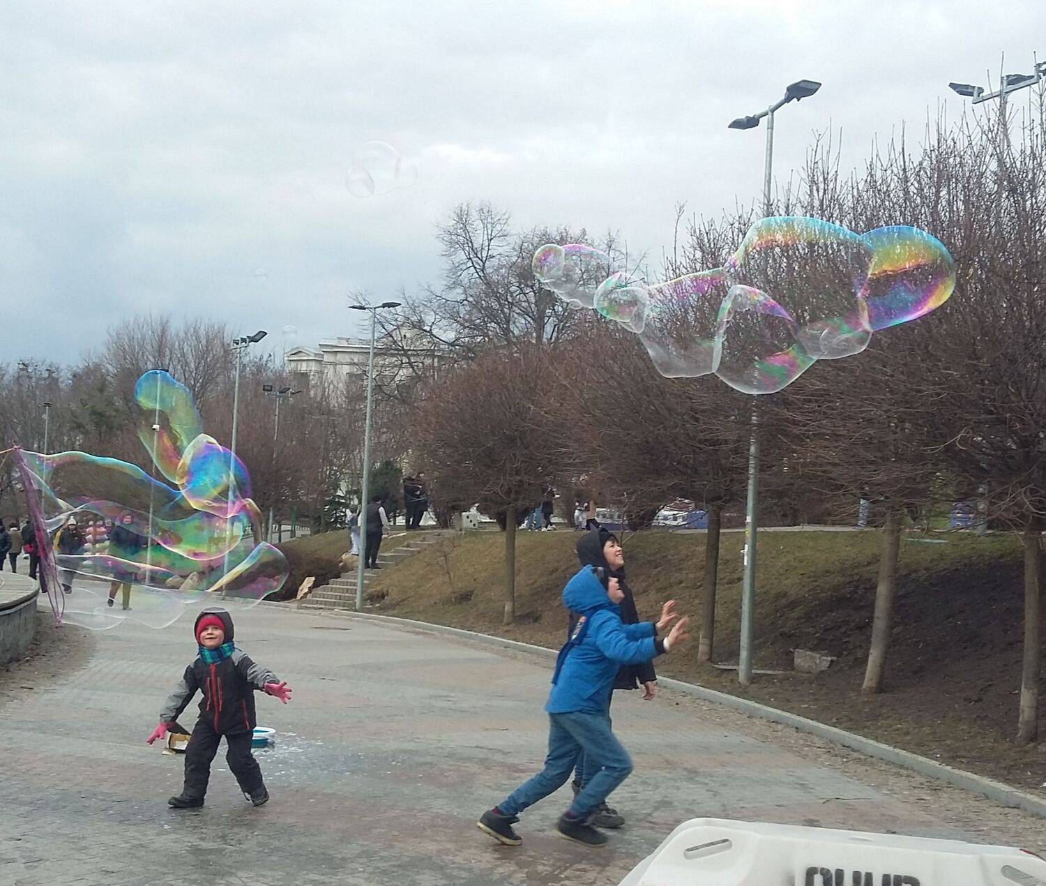 Photo #7345719