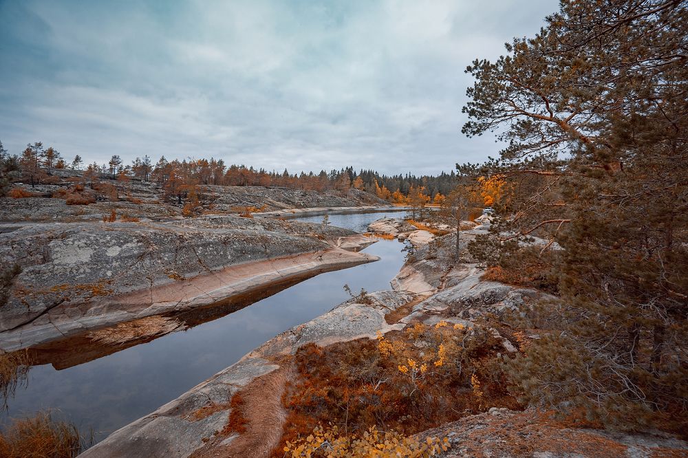 Photograph by Светлана Корнелюк