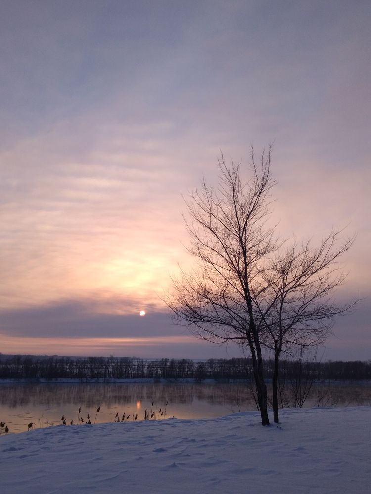 Photo #7345732