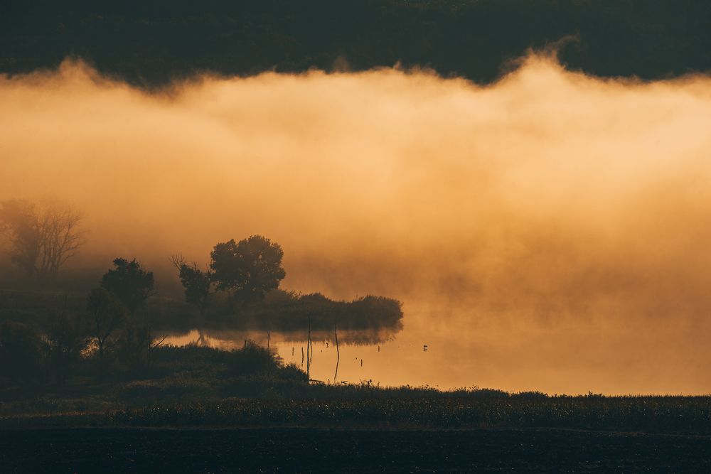 Photograph by Maxim Cristalov