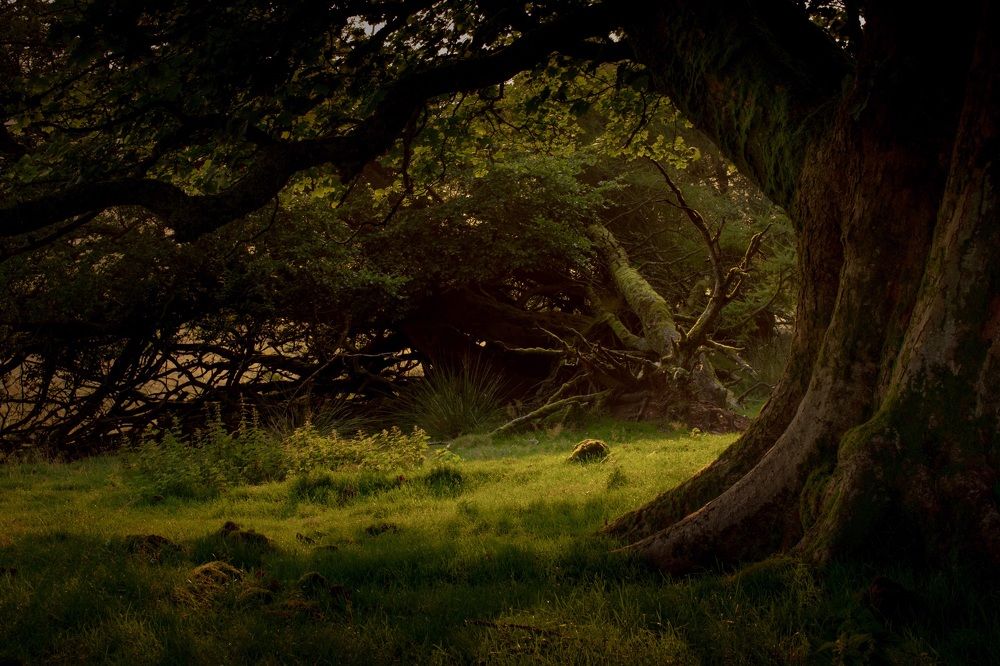 Photograph by Svjatoslavs Andrijevskis