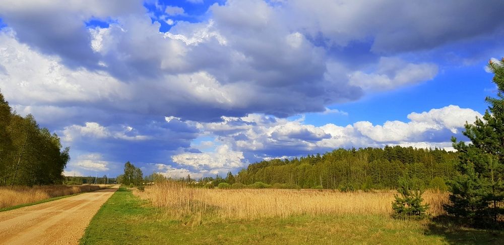 Photograph by Larisa Gella