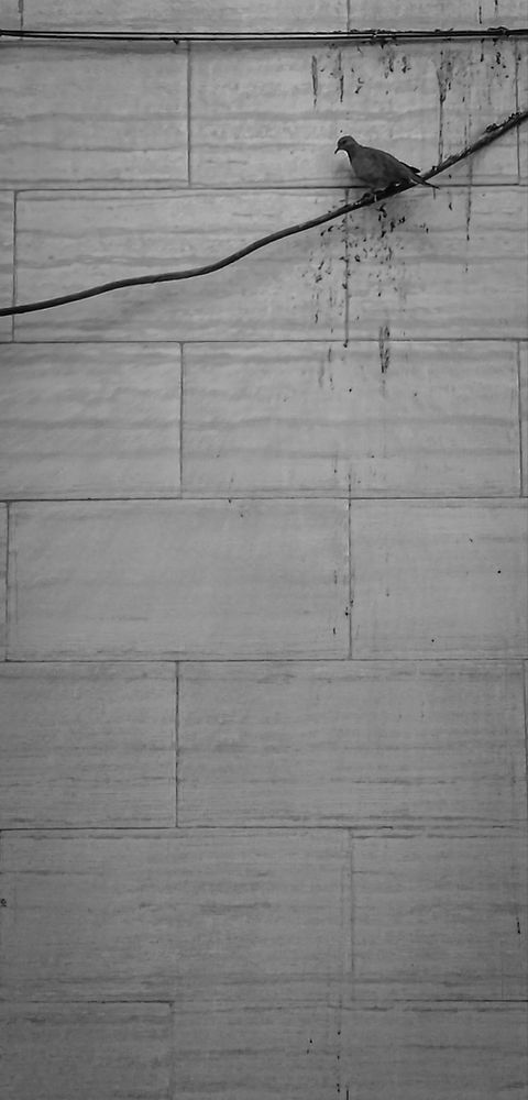 Фотография автора bahar td