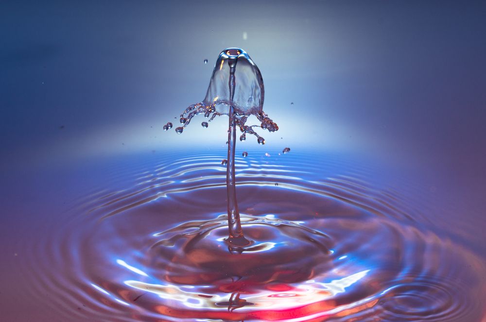 Photograph by Andrey Lesnik