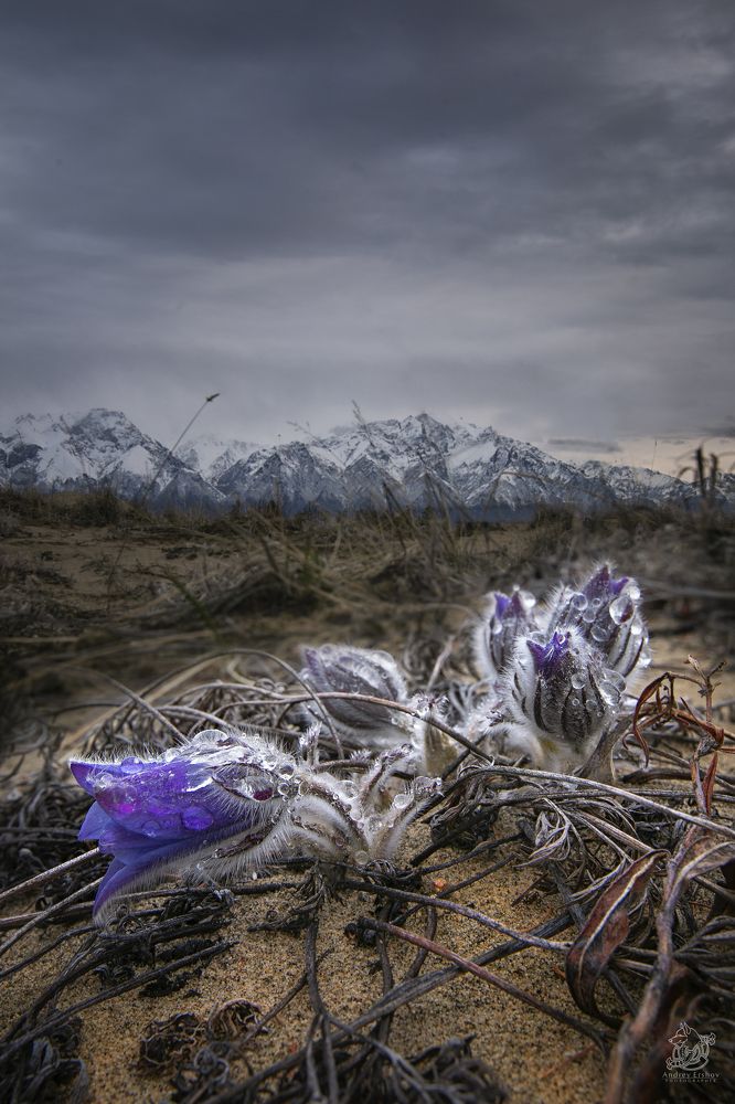 Photograph by Андрей Ершов