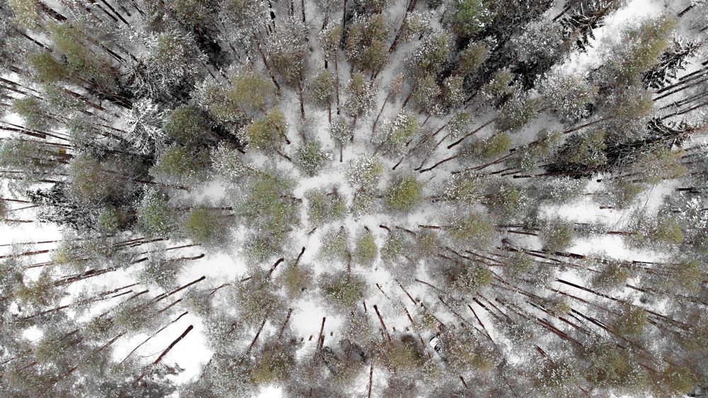 Photograph by Andrey Lesnik