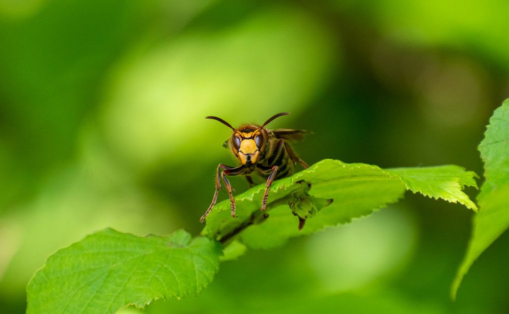 Photograph by Михаил