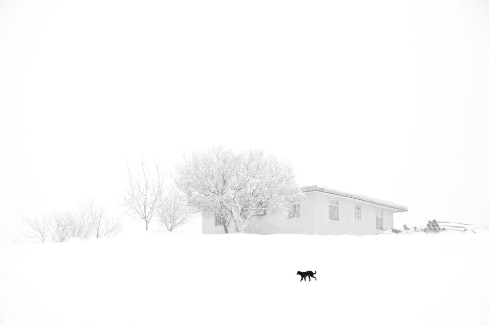 Photograph by Atefeh akbari