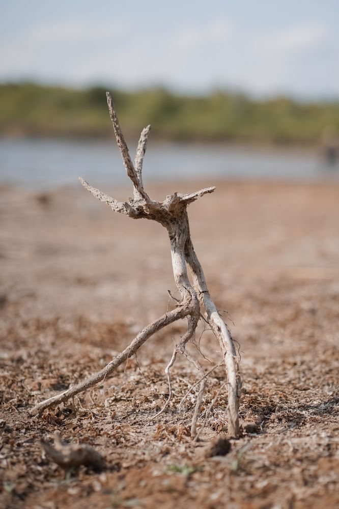 Photograph by ЛИЛИЯ ВАСИЛЬЕВА