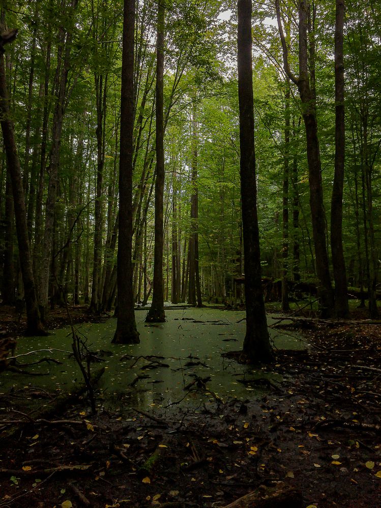 Photograph by Николай Зорин