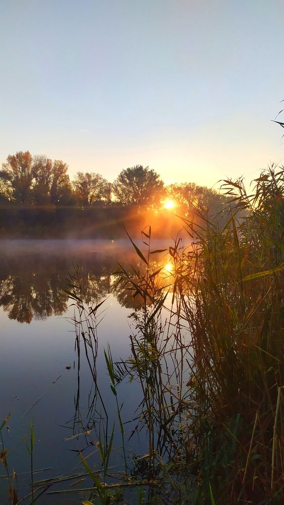 Photograph by Олена