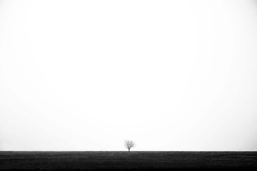 Photograph by Atefeh akbari