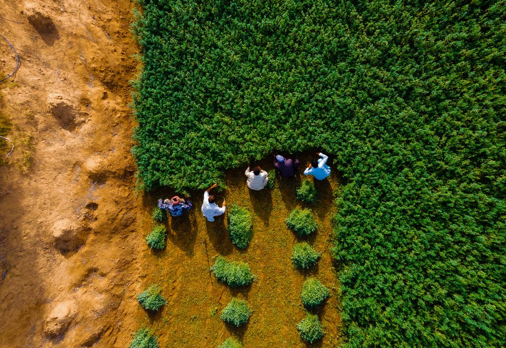 Photograph by Zubair Irshad