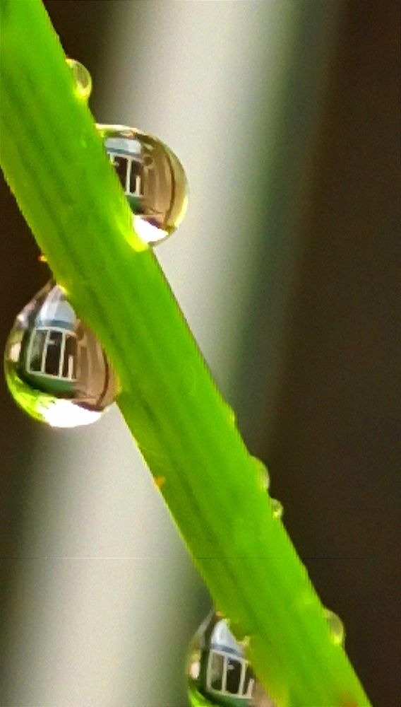 Photograph by Наталия Крайник