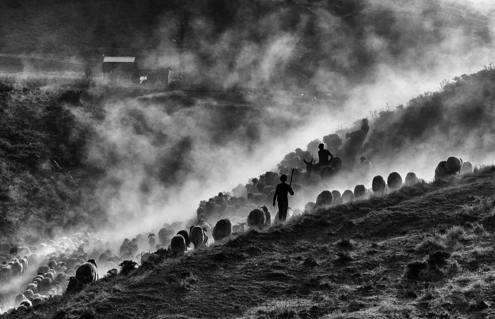 Фотография автора Gılcan Mete Delibay