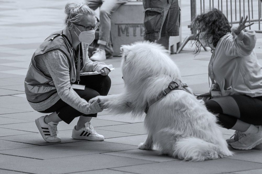 Photograph by Stoyan Baev