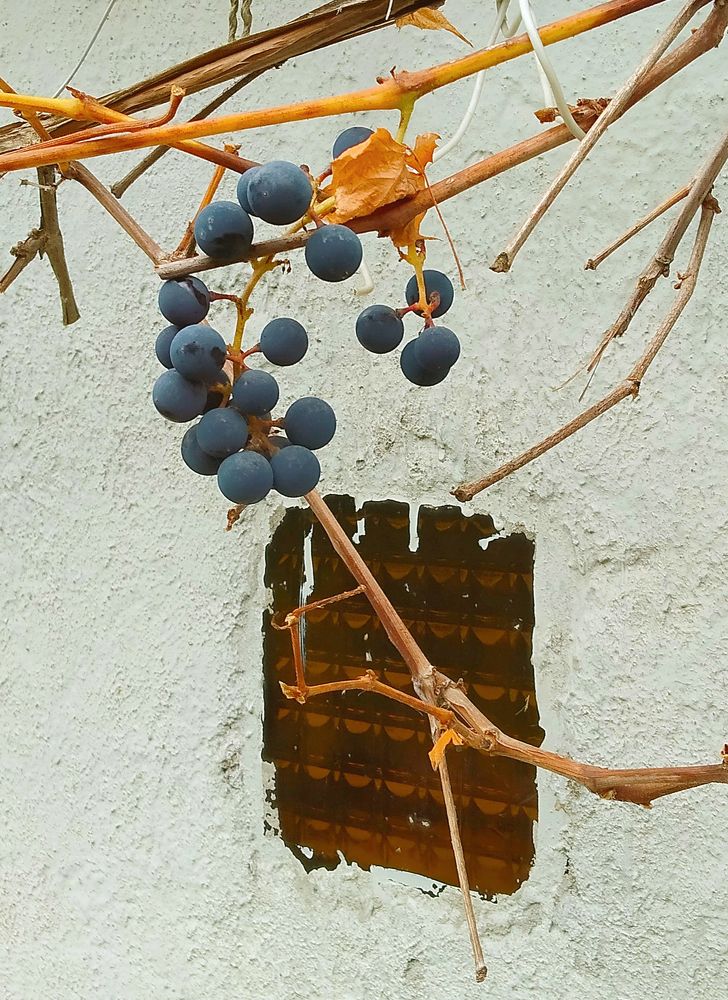 Осеннее настроение