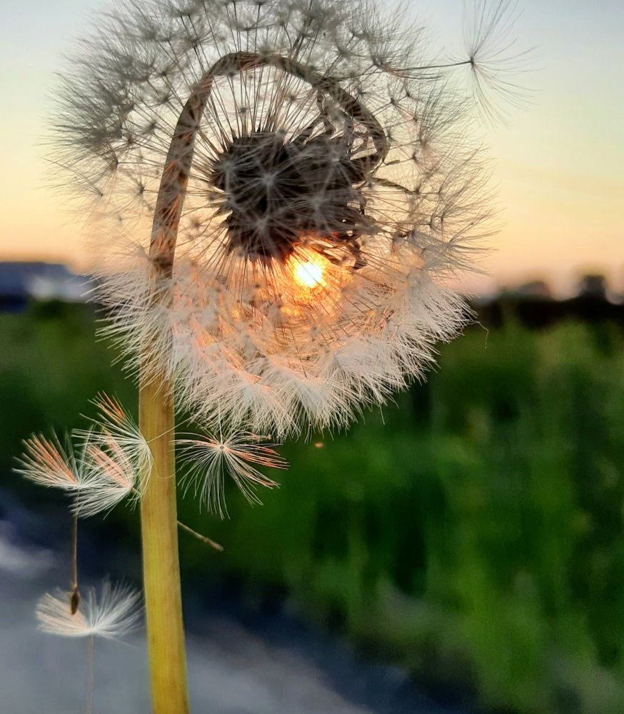 Photograph by Карина