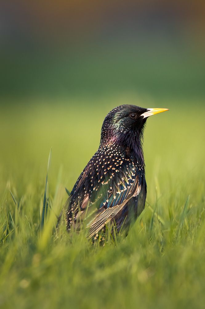 Photograph by Donatas