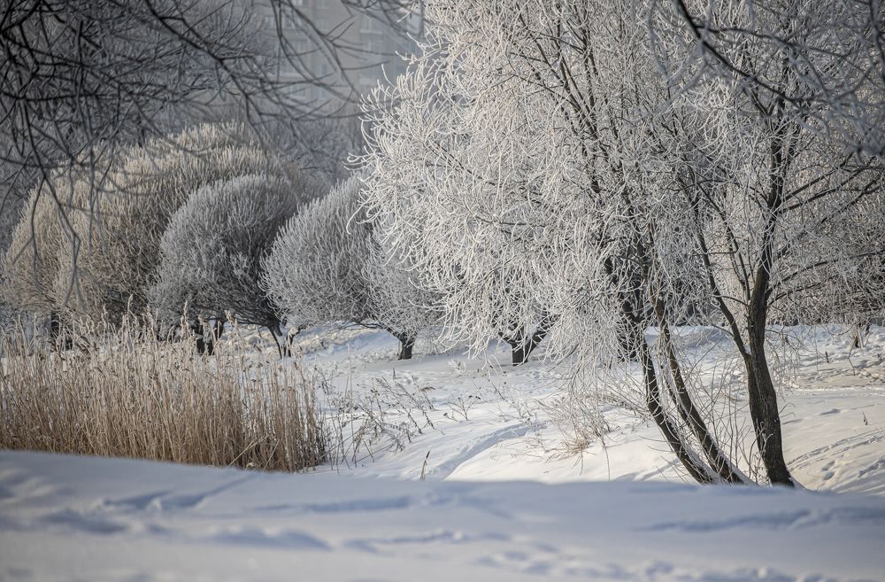 Хрустальная нежность