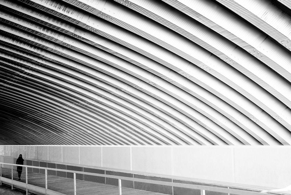 Photograph by Atefeh akbari