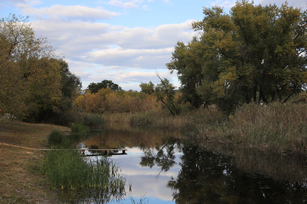 Photograph by Юлия Баринова