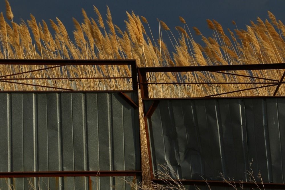 Photograph by Александр Шаварёв