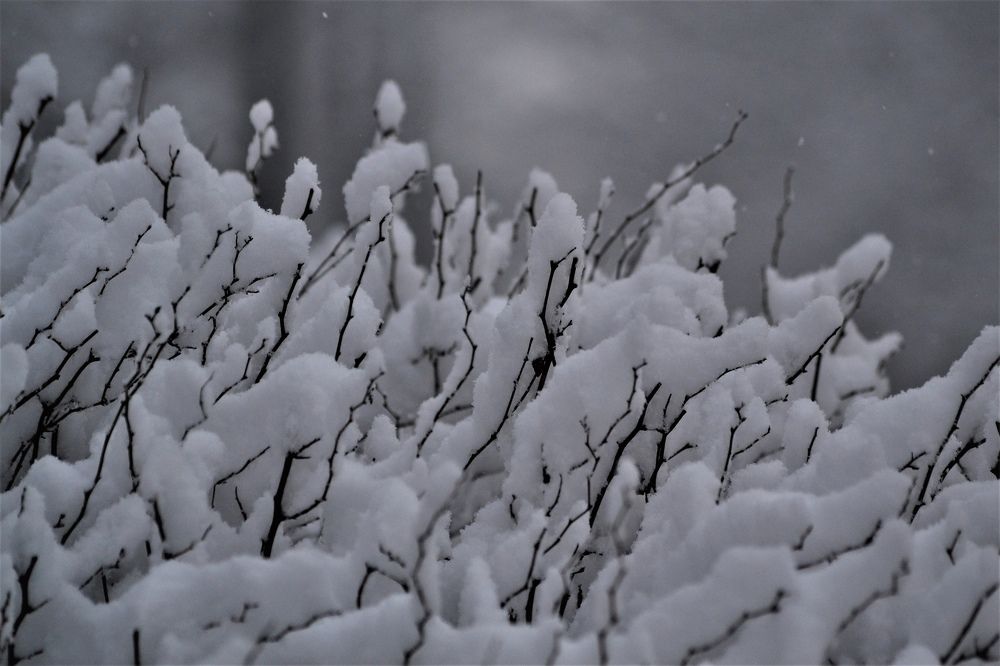 Photograph by Екатерина Климова