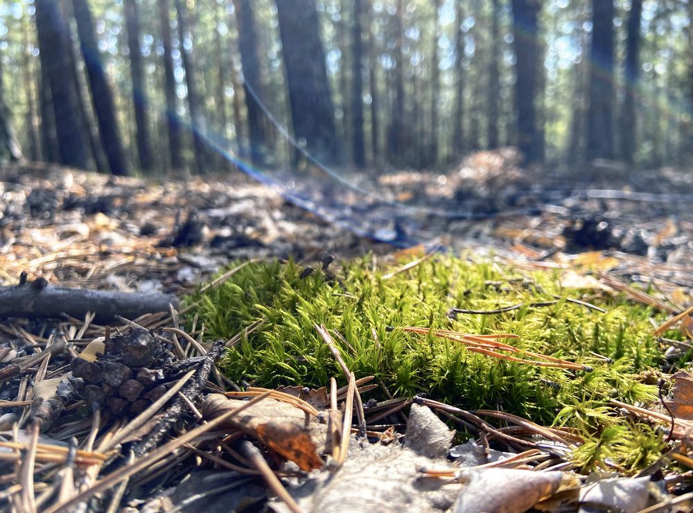 Photograph by Интэро Тиллен