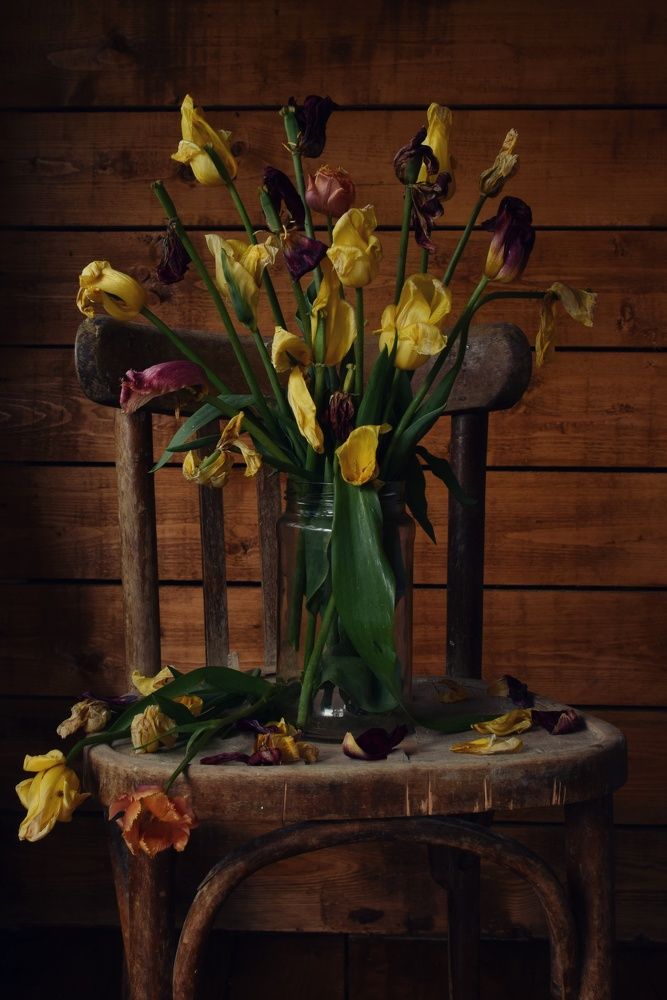 Photograph by Екатерина Долова