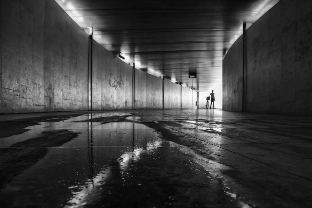 Photograph by Luís Sarmento