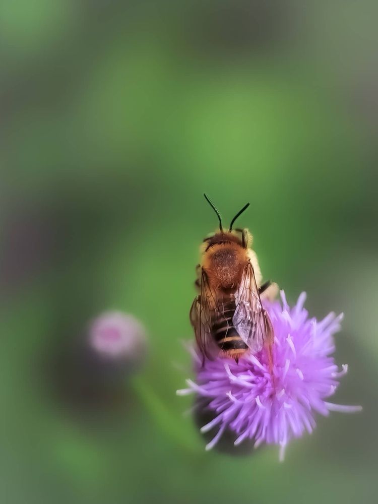 Photograph by Юлия Ледовская