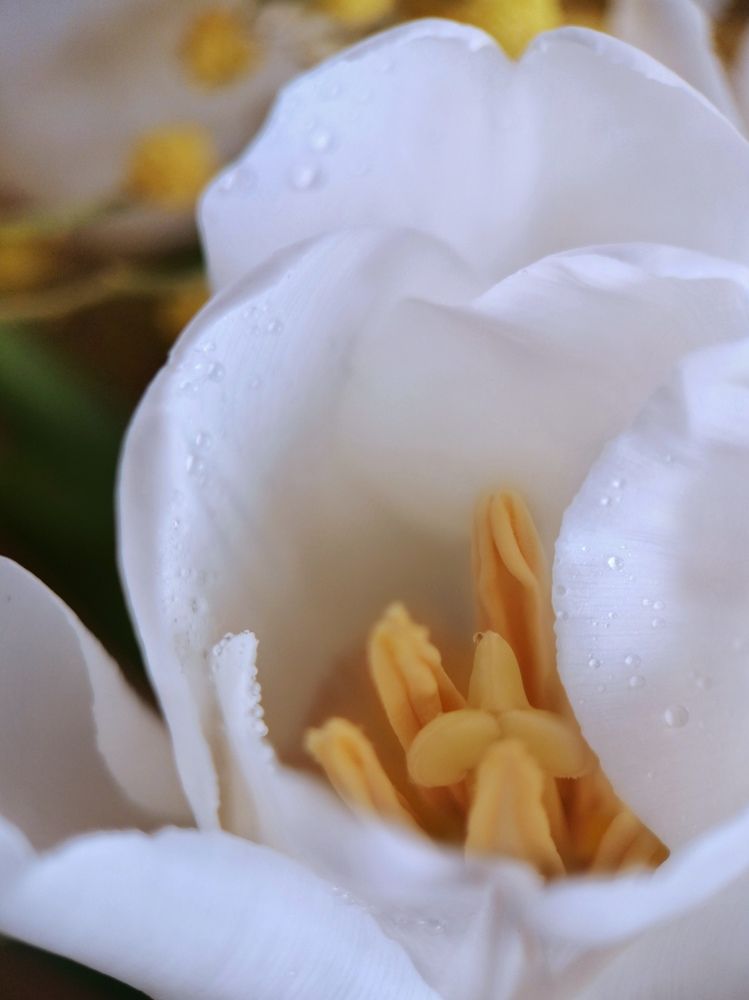 Photograph by Юлия Ледовская