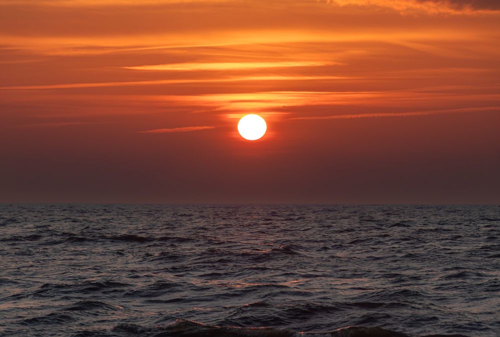 Фотография автора Alexander Pakhomov