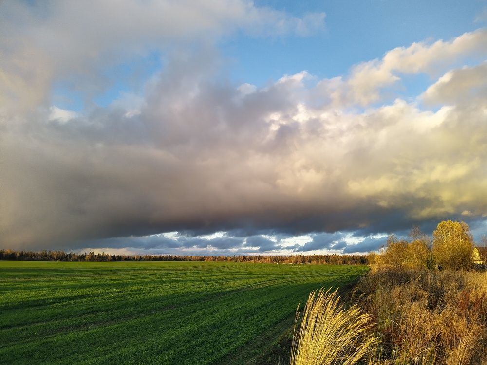 Photo #7346196